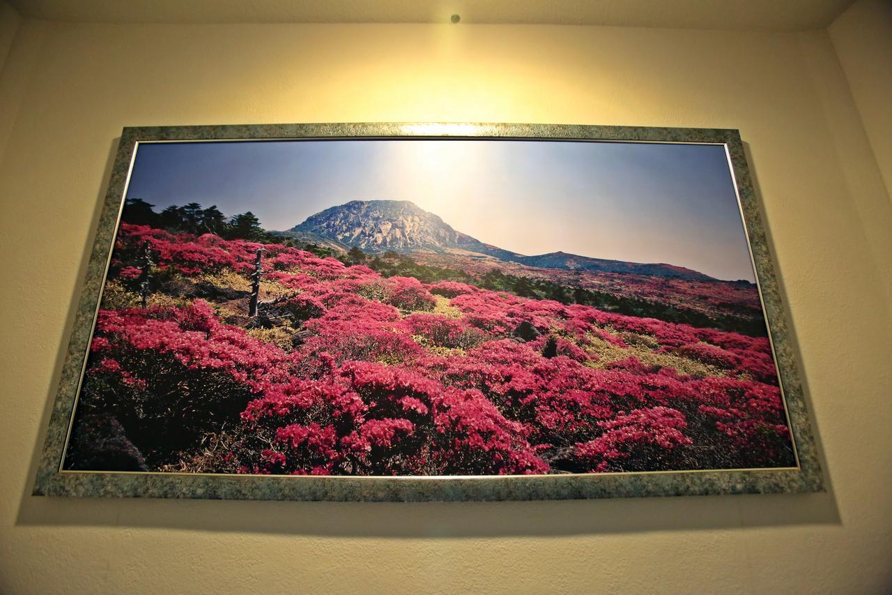 โรงแรมแชมเปี้ยน เมืองเชจู ภายนอก รูปภาพ